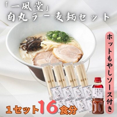 ラー麦使用「一風堂」とんこつラーメン 白丸合計16食(8食×2)【ホットもやしソース付き】(遠賀町)