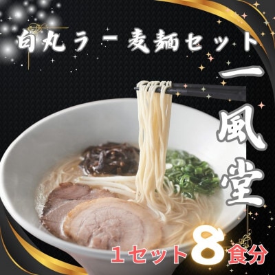 「一風堂」白丸 ラー麦麺セット 合計8食分セット(遠賀町)