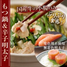 厳選国産牛もつ鍋(3～4人前)と無着色辛子明太子(600g)満足セット(遠賀町)