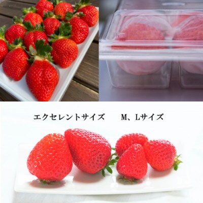 特選あまおう400g(遠賀町)