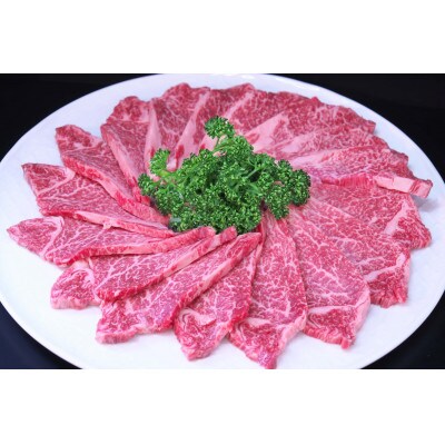 【訳あり】博多和牛ヒレ焼肉用　600g(遠賀町)