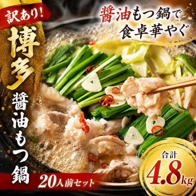 訳あり!博多醤油もつ鍋 20人前セット 合計4.8kg(遠賀町)