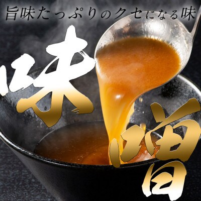 福岡県産ラー麦100%ラーメン 味噌 濃縮スープ40g×10袋・麺100g×10玉(遠賀町)
