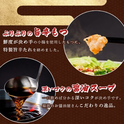 味付もつ鍋セット 濃縮醤油味 8人前(遠賀町)