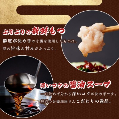 牛もつ鍋セット 濃縮醤油味 2人前(遠賀町)