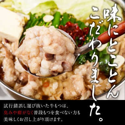 博多名物醤油もつ鍋セット4人前!あまおう、とよみつひめ、八女茶のアイスキャンディー6本付き(遠賀町)