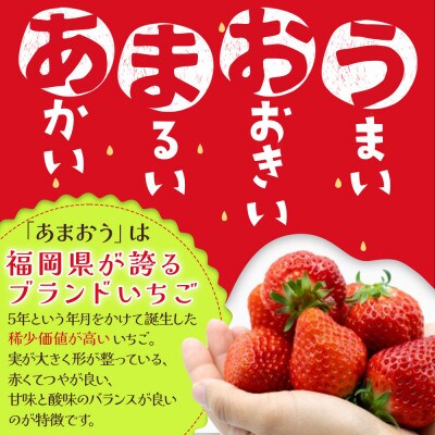 【3ヵ月毎定期便】「博多あまおう」の冷凍あまおう 合計1.5kg(遠賀町)全3回