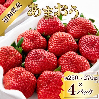【先行受付2027年2月より順次発送】福岡県産 あまおう 約250～270g×4パック