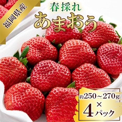 【数量限定】【2027年3月下旬発送開始】福岡県産春採れあまおう 約250~270g×4パック