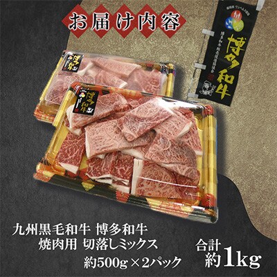 九州産黒毛和牛【博多和牛】焼肉用　切落しミックス　計約1kg(約500g×2パック)(遠賀町)