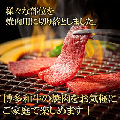 九州産黒毛和牛【博多和牛】焼肉用　切落しミックス　計約1kg(約500g×2パック)(遠賀町)