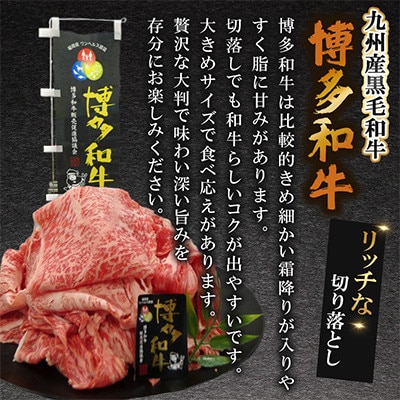 九州産黒毛和牛【博多和牛】リッチな切り落とし　計約600g(約300g×2パック)(遠賀町)