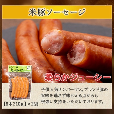 仁井田米で育った「しまんと米豚の食べ比べバラエティセット」Qjs-22