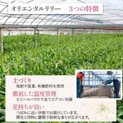 日頃の感謝を「花束」に込めて【オリエンタルリリー5本から】Osy-02