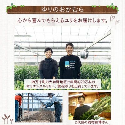 日頃の感謝を「花束」に込めて【オリエンタルリリー7本から】Osy-03