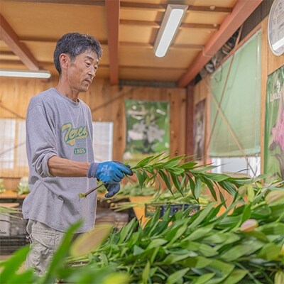 日頃の感謝を「花束」に込めて【オリエンタルリリー優品6本】