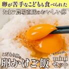 卵が苦手な子どもも食べられた!生臭くないおいしい卵を味わう卵かけご飯ミニセットGbn-A20