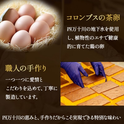 たまご農場直営スイーツ!こだわり卵のカステラ 2個セット(190g×2個)　Gbn-64　冷凍