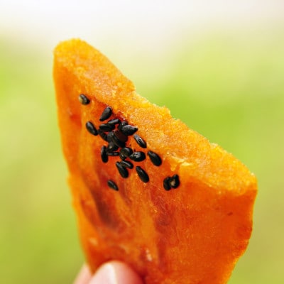 いも焼き菓子 「ひがしやま。ミニ」(15枚入)　Qdr-236