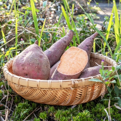 いも焼き菓子 「ひがしやま。ミニ」(10枚入)