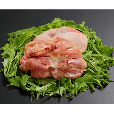高知の銘柄鶏　四万十鶏　もも肉　1.0kg
