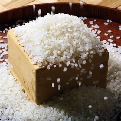 2022年12月発送開始『定期便』ウソのような本当の香りに感動!仁井田米5kg 全6回