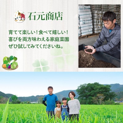 味と収穫量が違う、プロ仕様の培養土「四万十畑」2Lx2袋