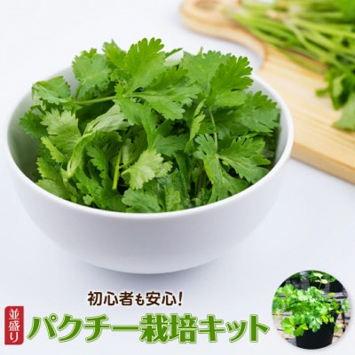 初心者も安心「並盛り」パクチー栽培キット