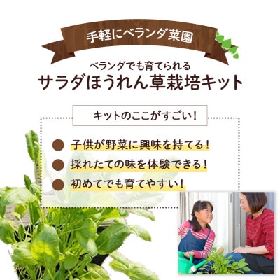 ベランダでも育てられるサラダほうれん草栽培キット