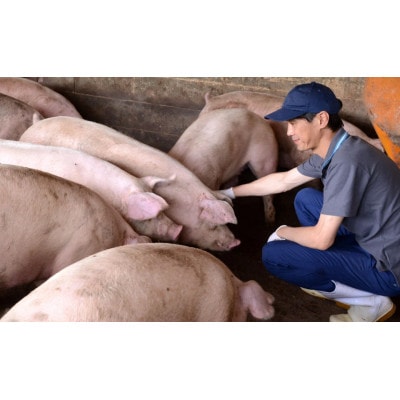 平野協同畜産の「麦豚」　焼肉3種食べ比べ　1.2kg　(　ロース　肩ロース　バラ　)