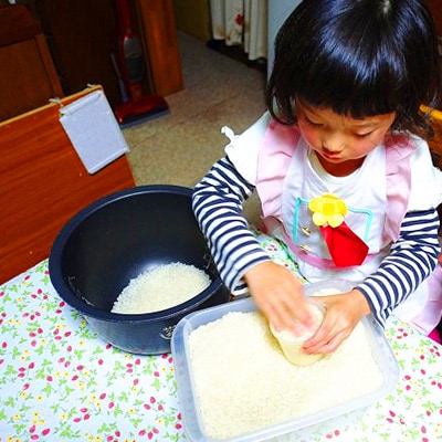 【毎月定期便】四万十町産無洗米「にこまる」で家事をサボってうまいお米を!全6回