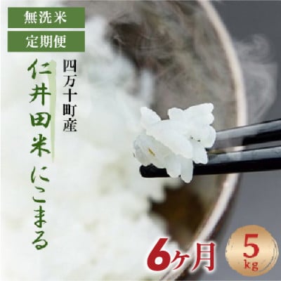 【毎月定期便】四万十町産無洗米「にこまる」で家事をサボってうまいお米を!全6回
