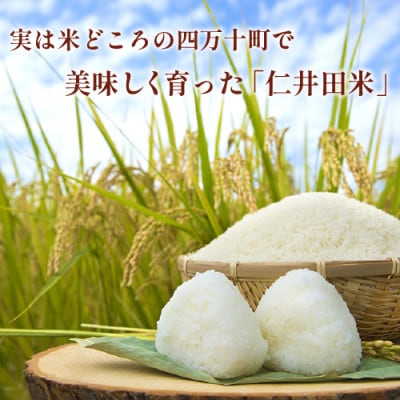 【毎月定期便】四万十町産無洗米「にこまる」で家事をサボってうまいお米を!全6回