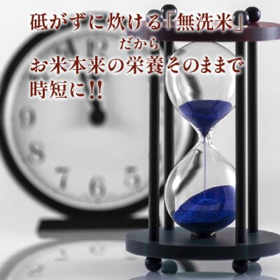 【毎月定期便】四万十町産無洗米「にこまる」で家事をサボってうまいお米を!全6回