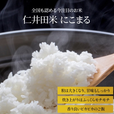 【毎月定期便】四万十町産 無洗米「にこまる」 5kg全6回
