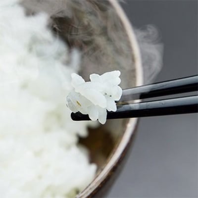 2022年3月発送開始『定期便』四万十町産無洗米「にこまる」で家事をサボってうまいお米を!全3回