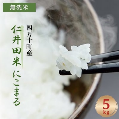 2023年4月発送開始『定期便』四万十町産無洗米「にこまる」5kg 全6回