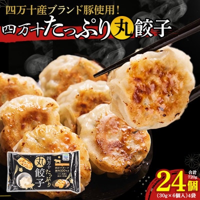 四万十産ブランド豚使用!四万十たっぷり丸餃子 4袋
