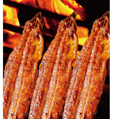 うなぎ蒲焼き110g×2本セット