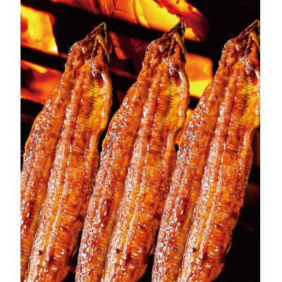 うなぎ味くらべ4本セット