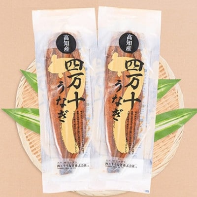 四万十うなぎ蒲焼き260gx2本セット