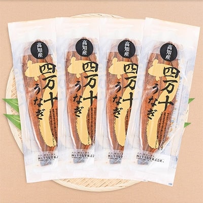 四万十うなぎ蒲焼き　豪華!!1kgセット