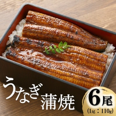 うなぎ蒲焼き 110g×6本セット