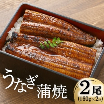 うなぎ蒲焼　160g×2本セット