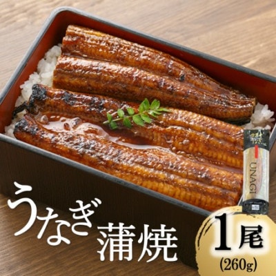 うなぎ蒲焼 260g×1本