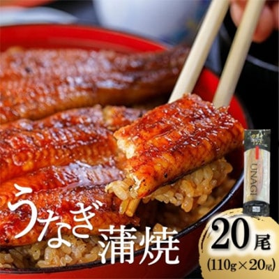 うなぎ蒲焼 110g×20本セット