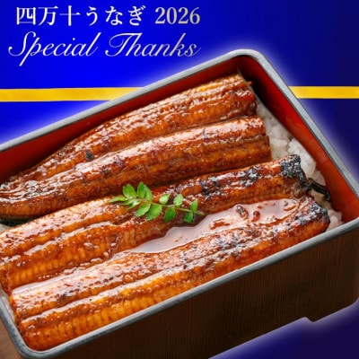 【数量限定】規格外・うなぎの蒲焼き(合計約500g)