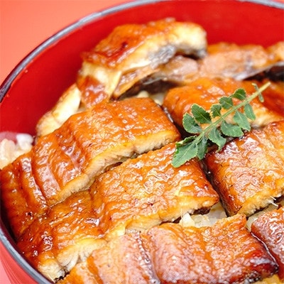 【数量限定】規格外・うなぎの蒲焼き(合計約500g)