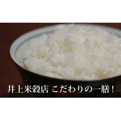 井上米穀店　仁井田米　にこまる　精米　5kg
