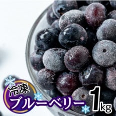 シャーベット感覚!四万十町産【冷凍】ブルーベリー1kg